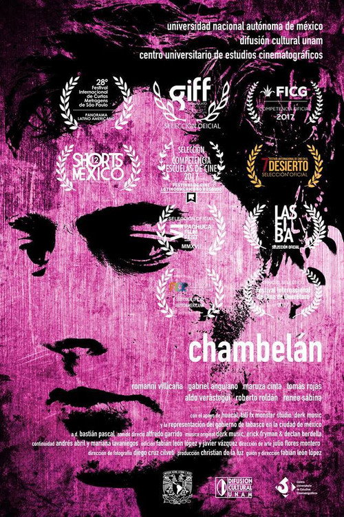 Movie poster for Chamberlain (2017)