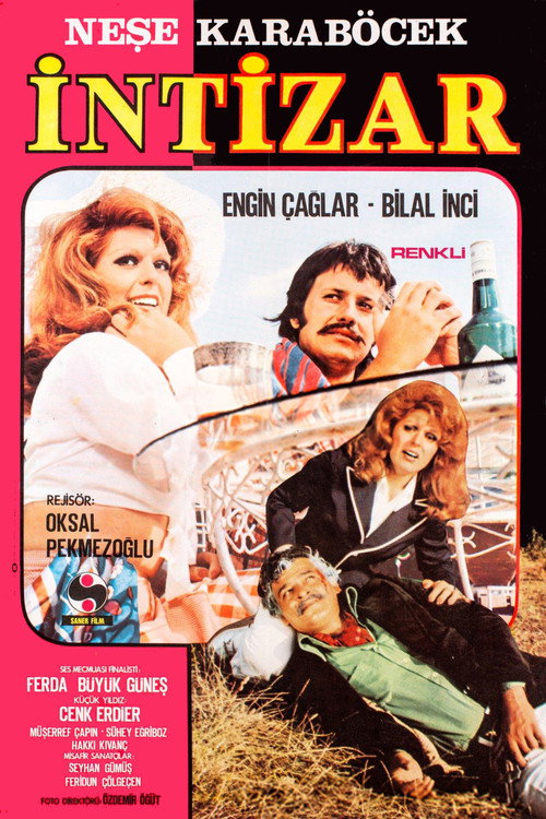 Movie poster for İntizar (1973)