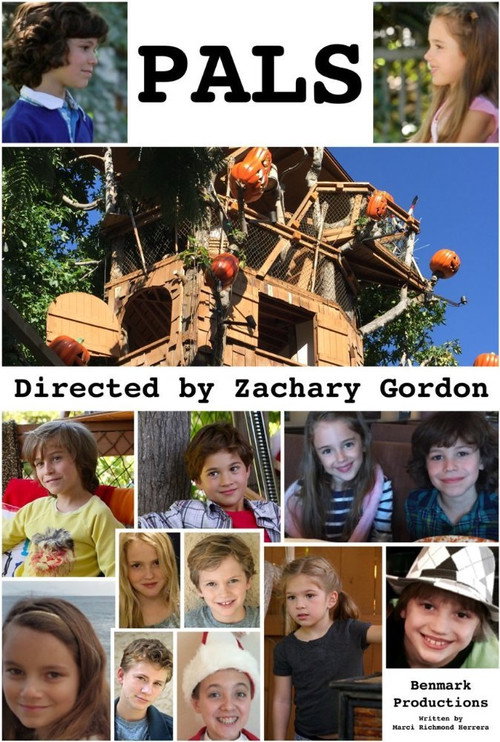 Movie poster for Pals (2016)