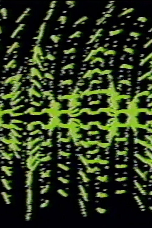Movie poster for Modulated Horizontal Lines (1976)