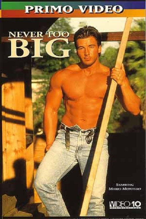Movie poster for Never Too Big (1995)
