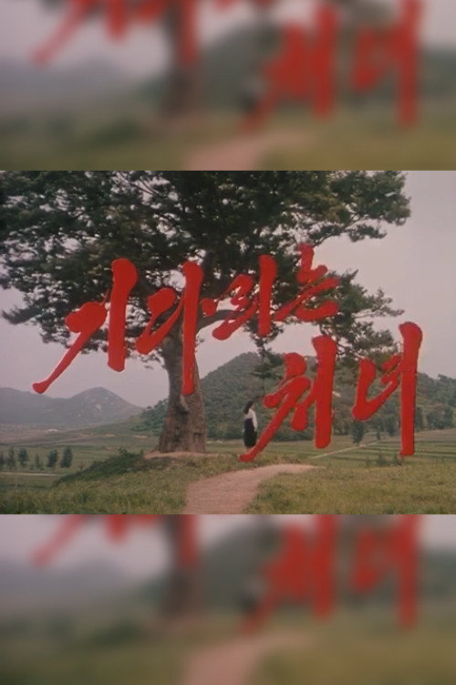 Movie poster for The Long Awaited Girl (2001)