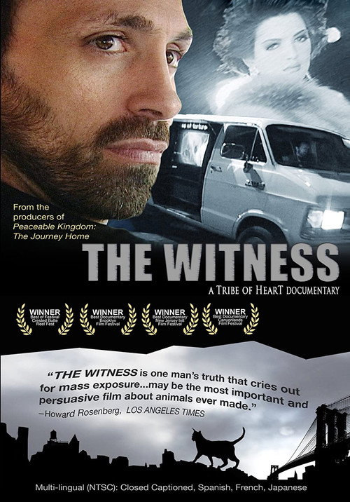 Movie poster for The Witness (2000)