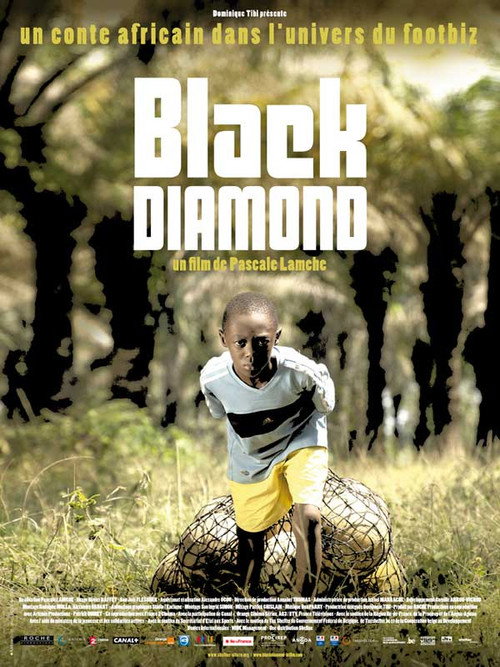 Movie poster for Black Diamond (2010)