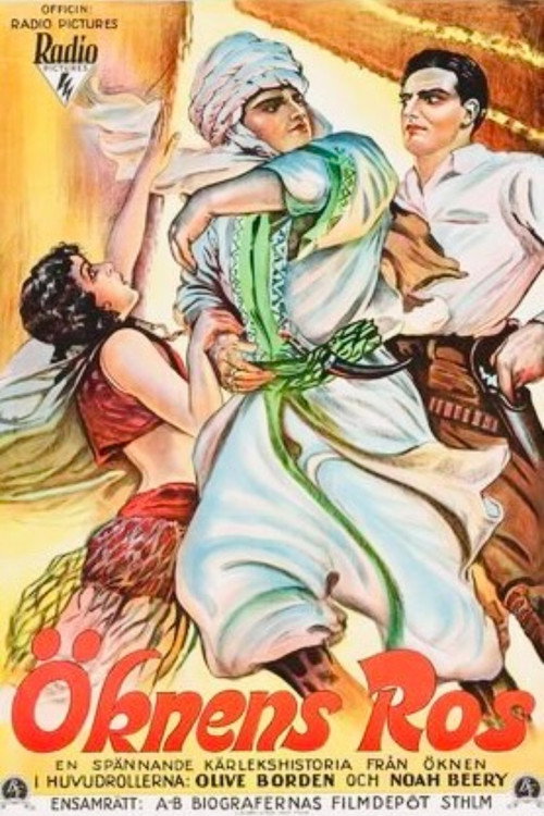 Movie poster for Love In The Desert (1929)