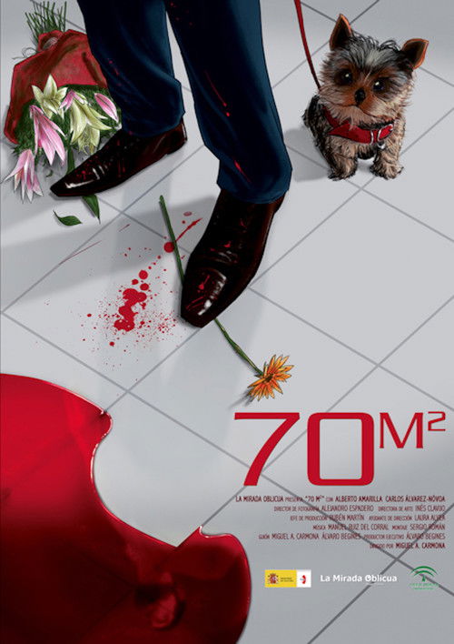 Movie poster for 70m2 (2010)