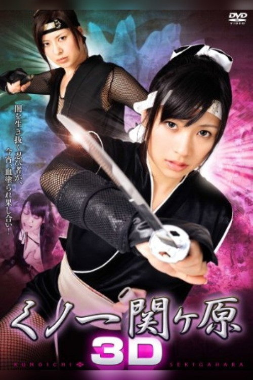 Movie poster for Kunoichi Sekigahara 3D (2010)