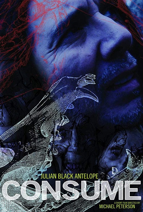Movie poster for Consume (2017)