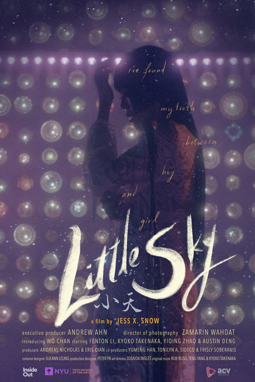 Movie poster for Little Sky (2021)