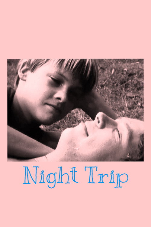 Movie poster for Night Trip (1982)