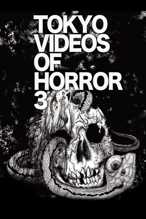 Movie poster for Tokyo Videos of Horror 3 (2012)