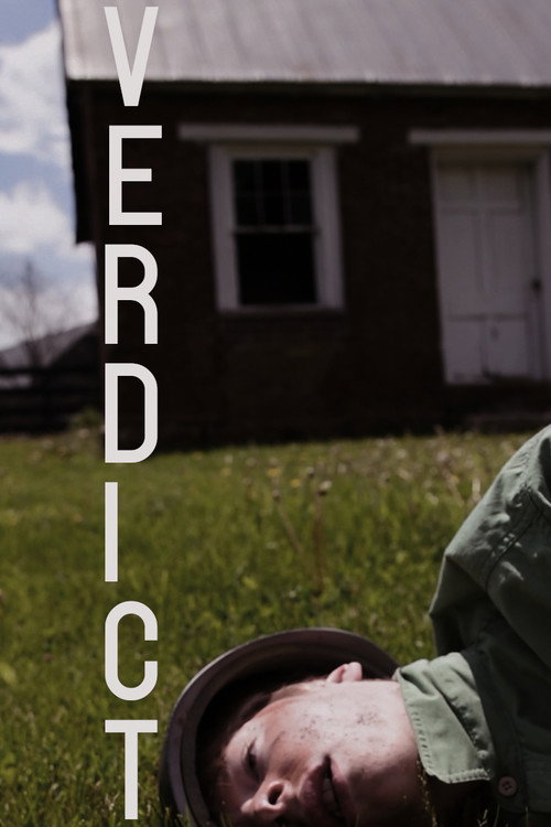 Movie poster for VERDICT (2018)