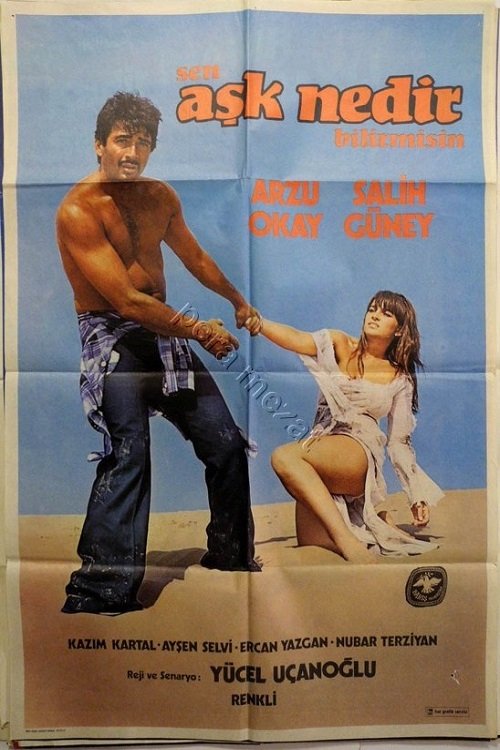 Movie poster for Sen Aşk Nedir Bilir Misin (1977)