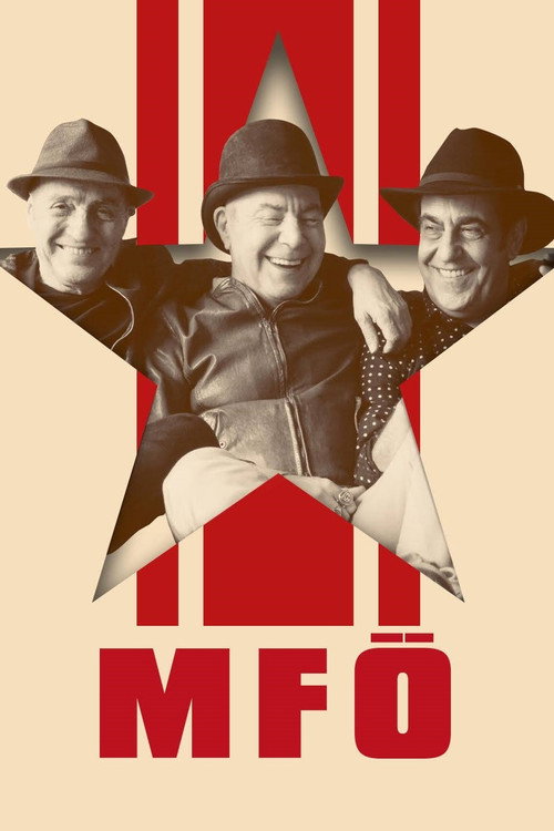 Movie poster for MFÖ Akustik (2018)