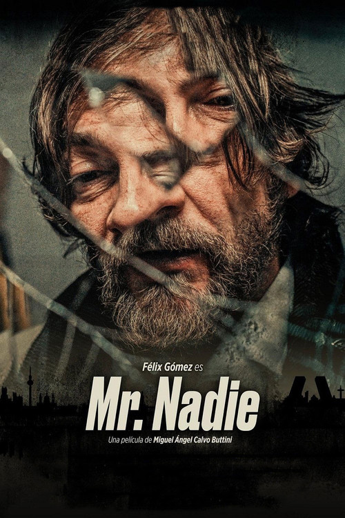 Movie poster for Mr. No One (2025)