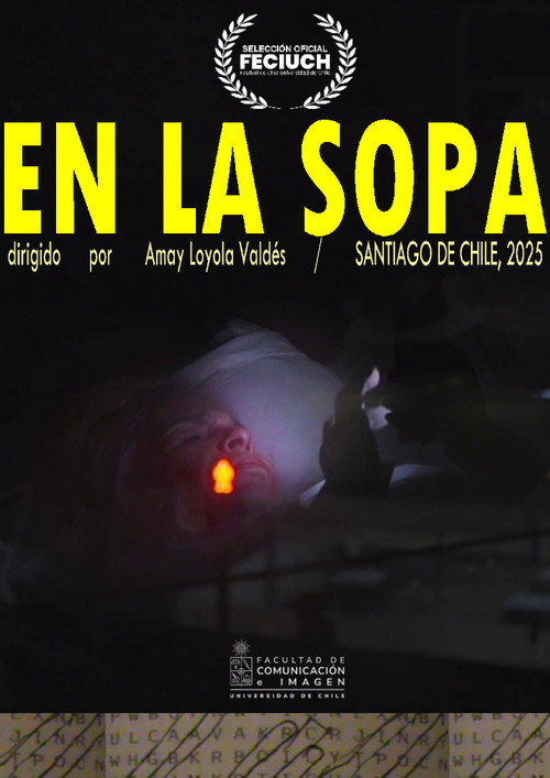Movie poster for En la Sopa (2025)