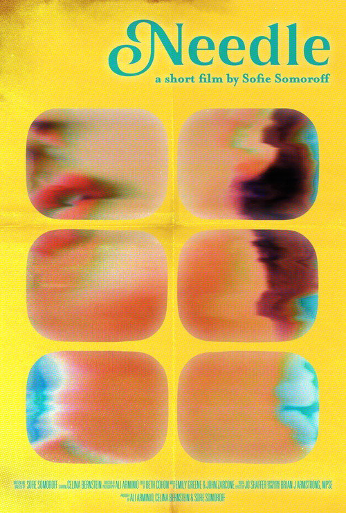 Movie poster for Needle (2026)