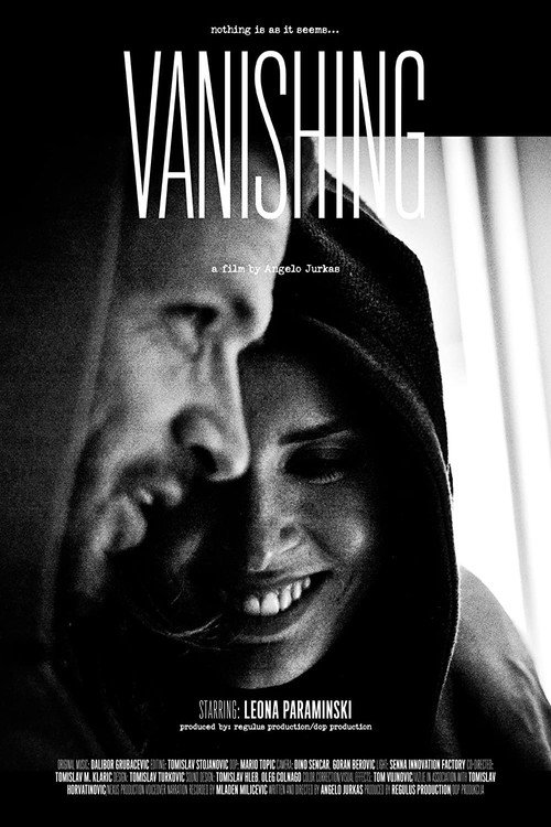 Movie poster for Vanishing (2015)
