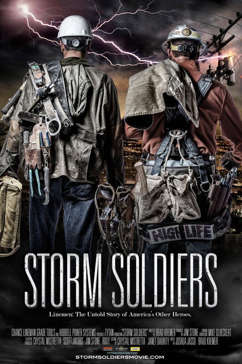 Movie poster for Storm Soldiers (2013)