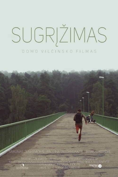 Movie poster for The Return (2015)