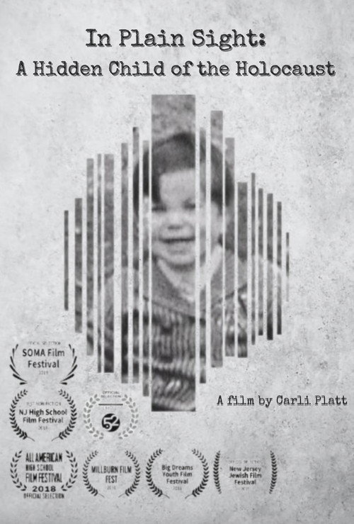 Movie poster for In Plain Sight A Hidden Child of the Holocaust (2019)