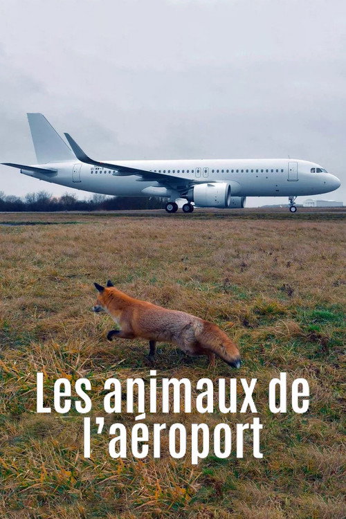 Movie poster for Airport Animal Stories (2023)