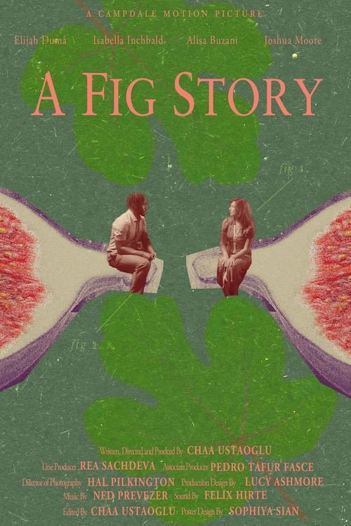 Movie poster for A Fig Story (2024)