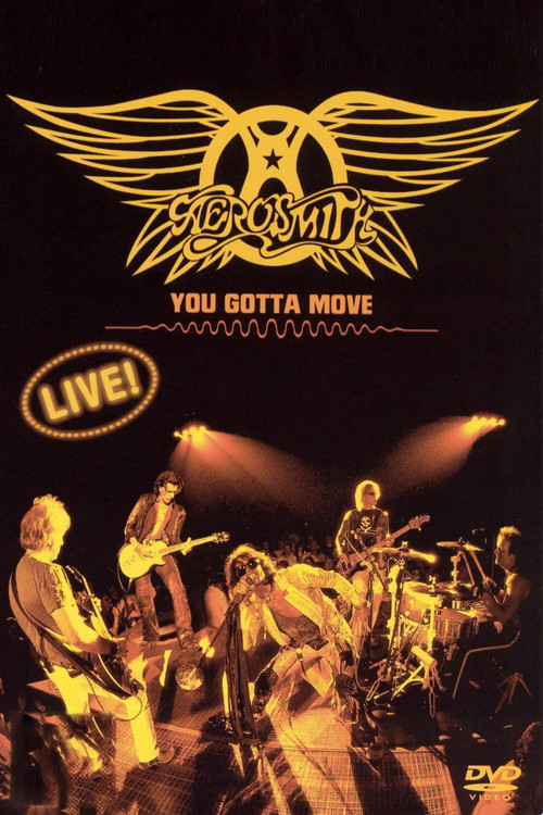 Movie poster for Aerosmith - You Gotta Move (2004)