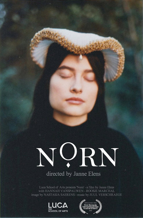 Movie poster for Norn (2018)