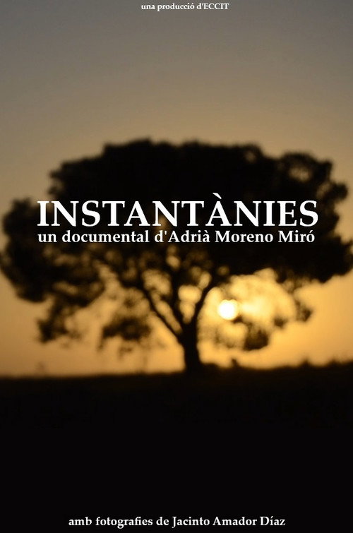 Movie poster for Instantànies (2025)