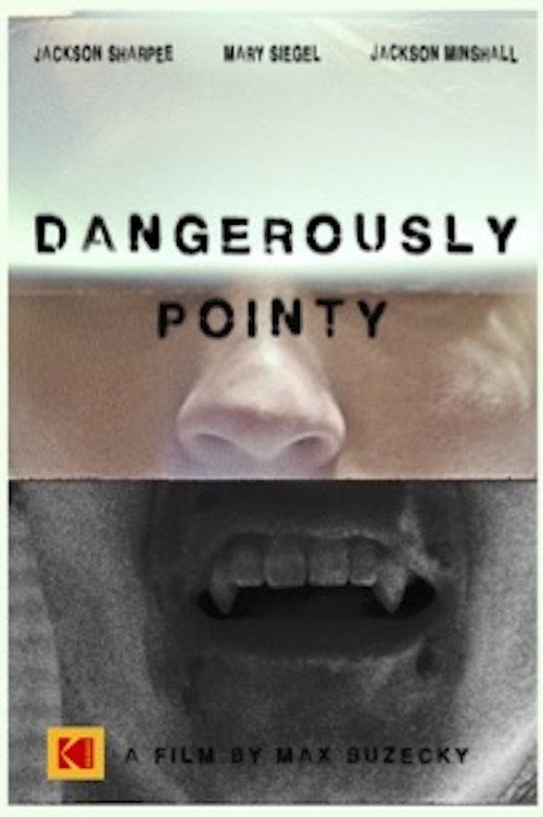 Movie poster for Dangerously Pointy