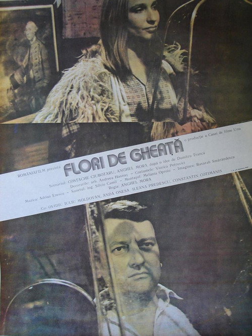 Movie poster for Flori de gheață (1989)
