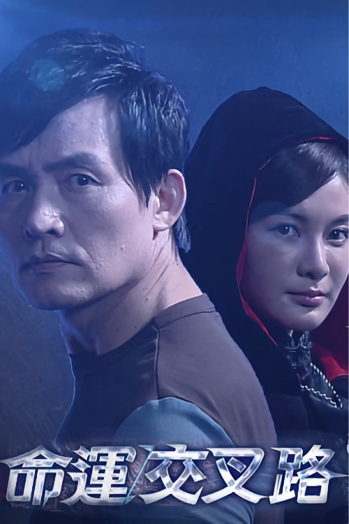 命運交叉路 poster