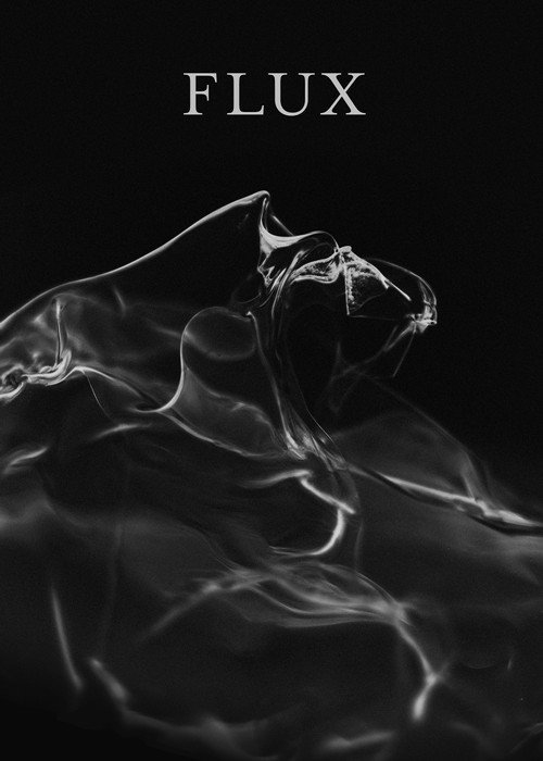 Movie poster for Flux (2022)