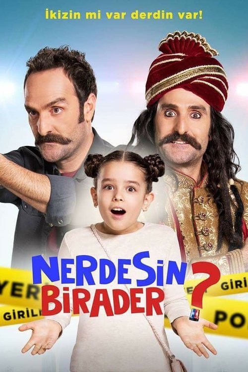 Nerdesin Birader? poster