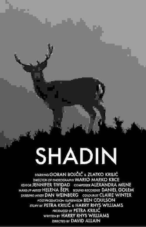 Movie poster for Shadin (2018)