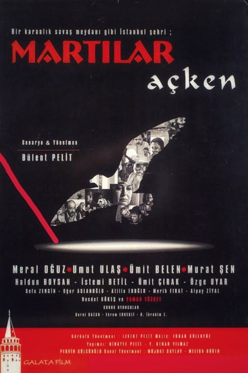 Movie poster for Martılar Açken (2003)