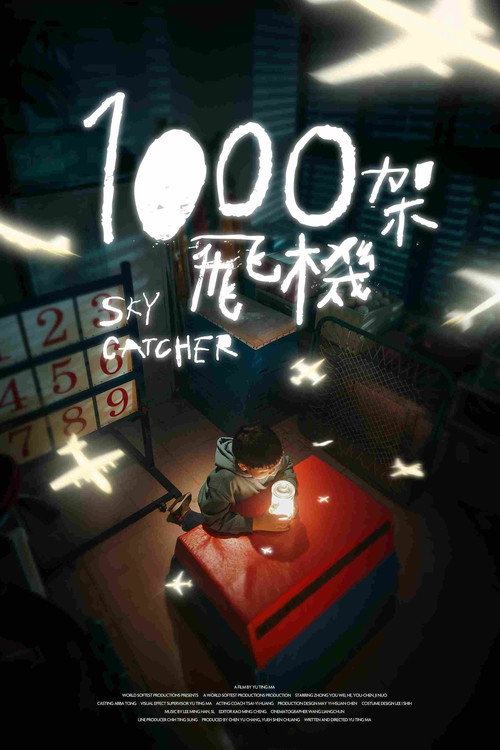 Movie poster for Sky Catcher