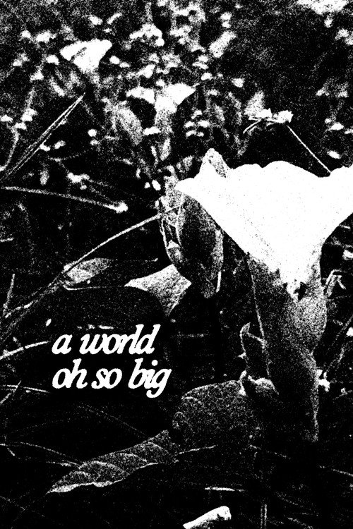 Movie poster for A World Oh So Big (2025)
