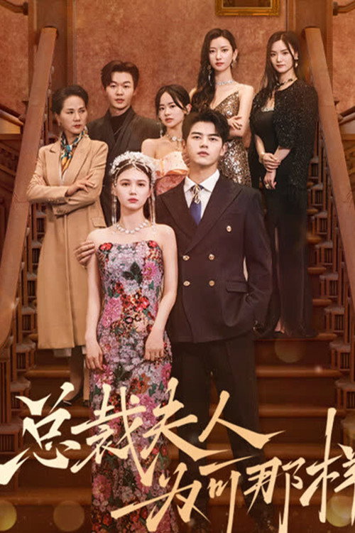 总裁夫人为何那样 poster