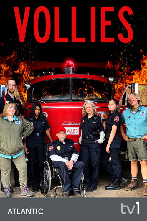 Vollies poster