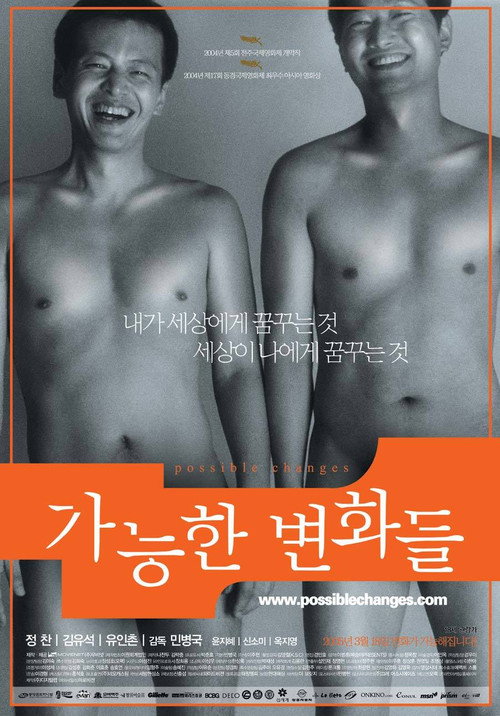 Movie poster for Possible Changes (2005)