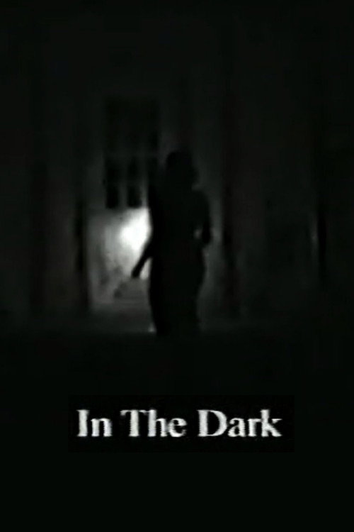 Movie poster for In the Dark (2000)