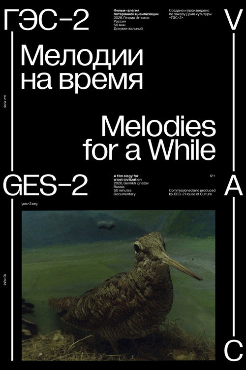 Movie poster for Melodies for a While (2026)