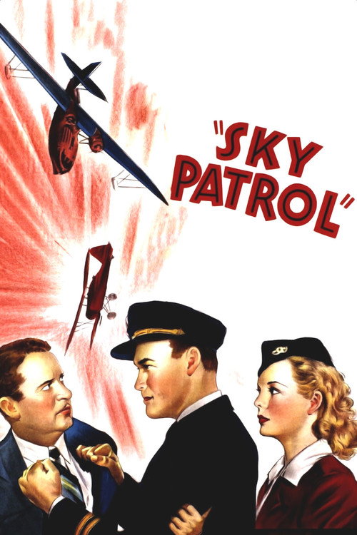 Movie poster for Sky Patrol (1939)
