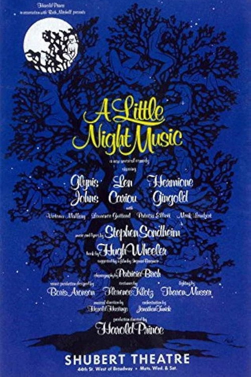 Movie poster for A Little Night Music: Ravinia Festival Concert (2002)