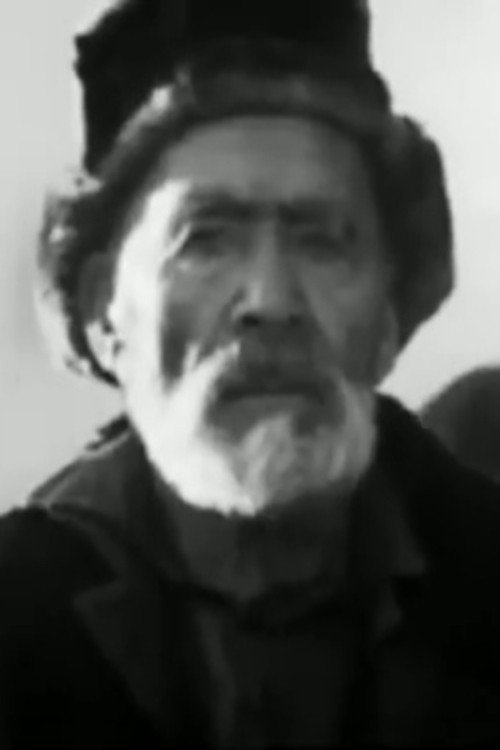 Movie poster for Naryn Diary (1971)