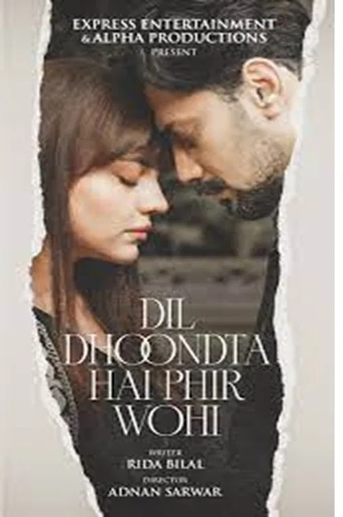 Dil Dhoondta Hai Phir Wohi poster