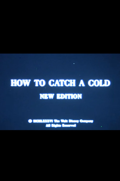 Movie poster for How to Catch a Cold (1986)