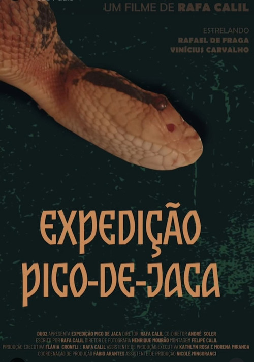 Movie poster for Expedição Pico-De-Jaca (2025)